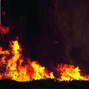 NSW bushfires ‘catastrophe’ for insurers