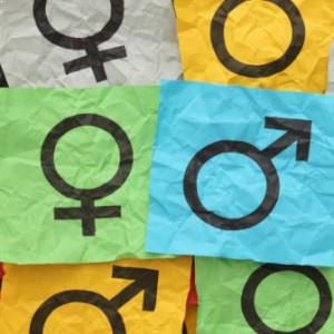 One-sided gender debate ignites
