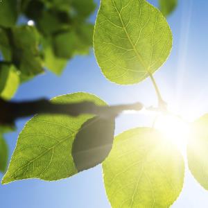 Sticky situations between a landlord and tenant