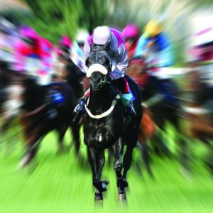 Cup Day pause no barrier to auctions