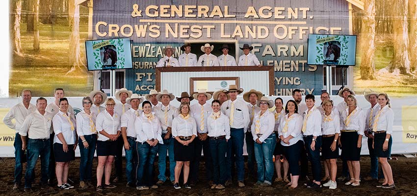 45th Annual Ray White Equine