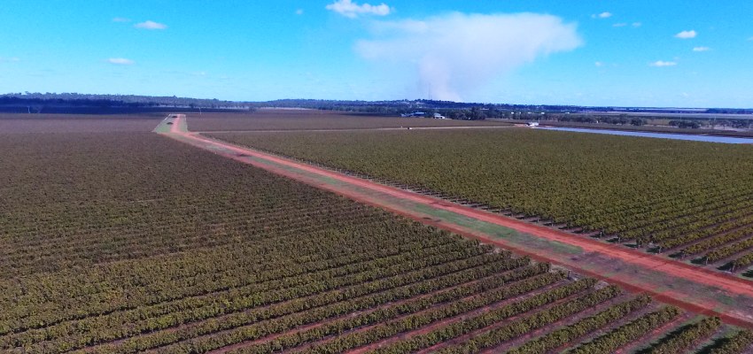 Turning water into wine: Driving a $16m vineyard campaign