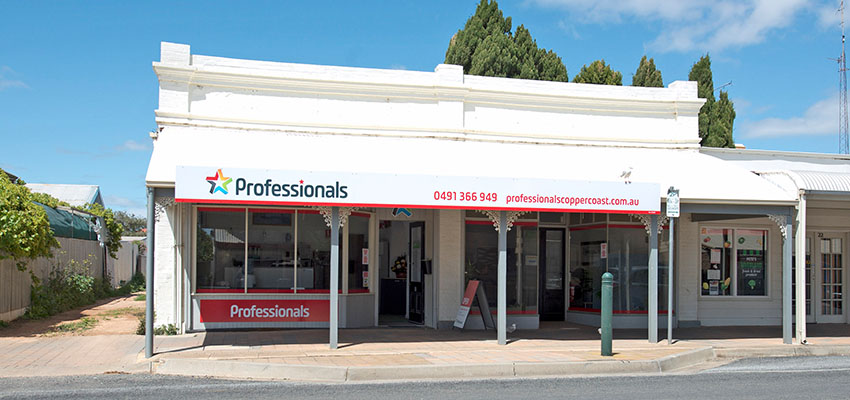 Professionals Real Estate Group