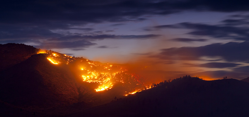Bush fire