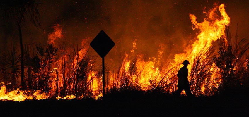 Bushfire