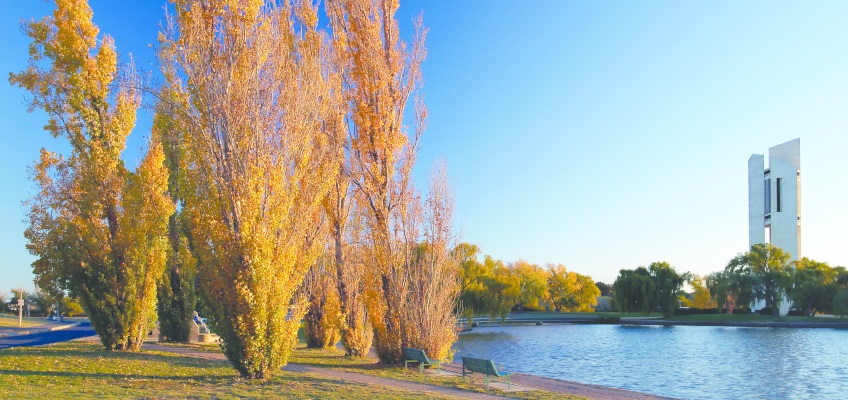 ACT to continue COVID-19 support into the new year