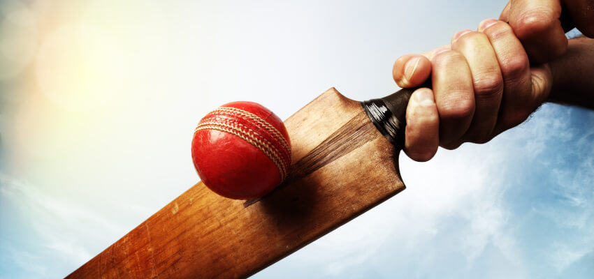 cricket game reb