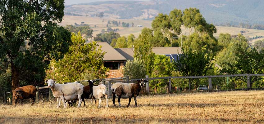 Melbournians eye up shires for better value