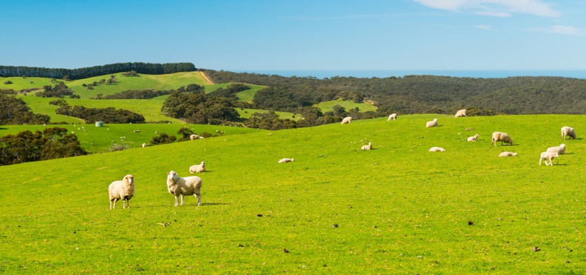 Could carbon farming be key to boosting land prices?