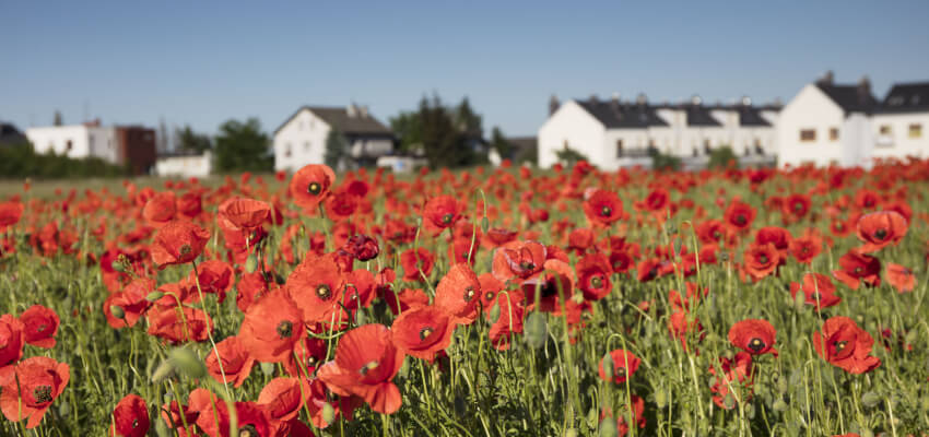 Real estate listings have not risen for spring