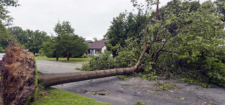 Queensland delivers disaster chaser warning