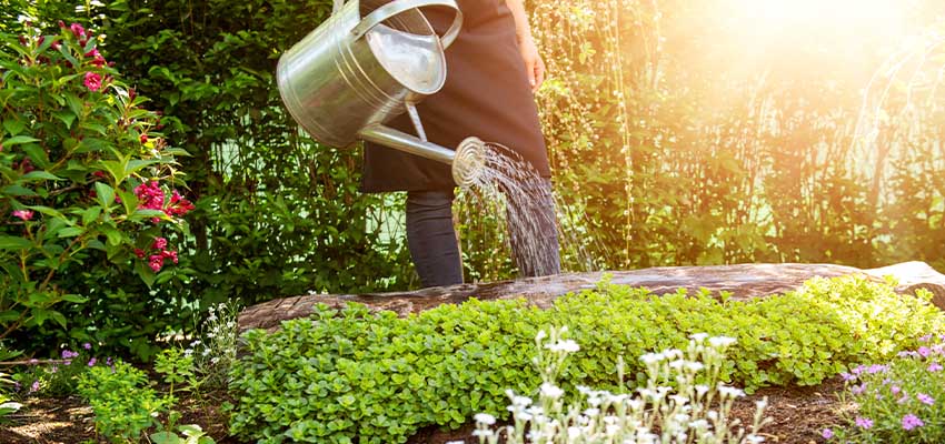 Tips for sustainable living