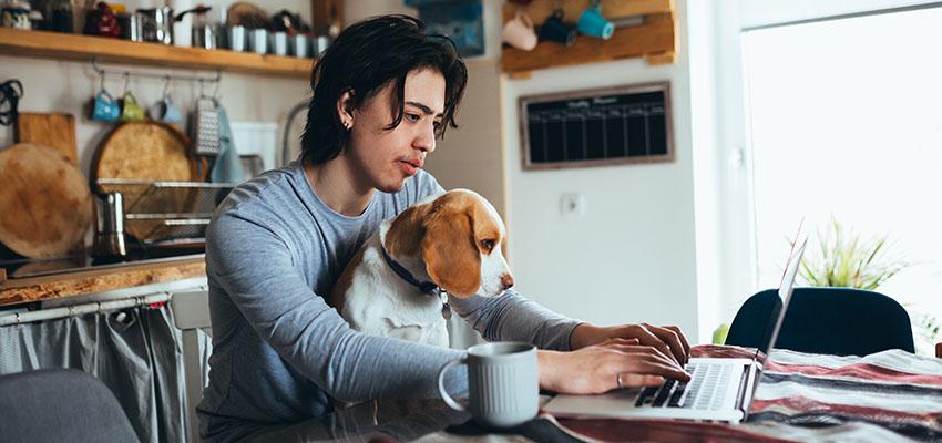 work from home
