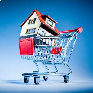 house cart 300
