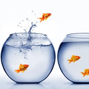 How to get clients to come to you