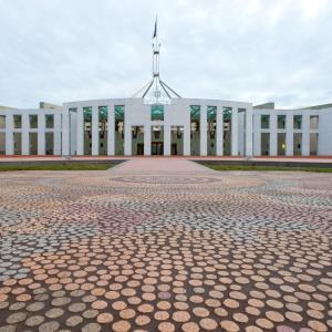 Why we need a political party: REINSW