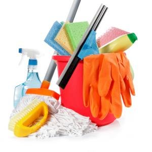 Mould in investment properties