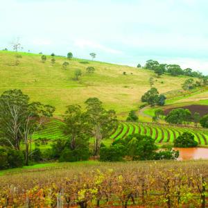 Hunter Valley